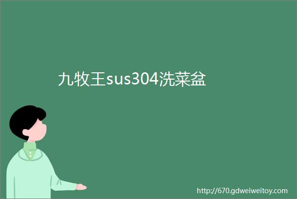 九牧王sus304洗菜盆